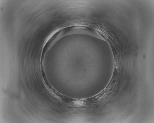 X0000066540052200603171251