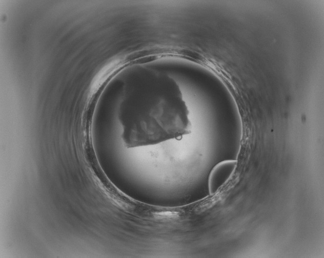 X0000066540053200603171251