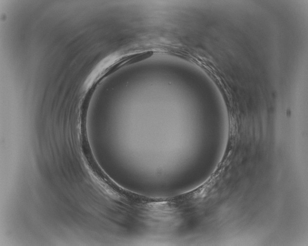 X0000066540054200603171251