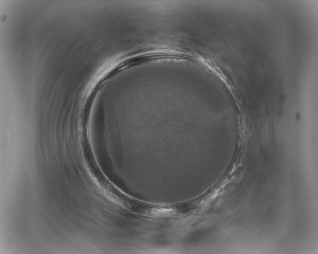 X0000066540055200603171251