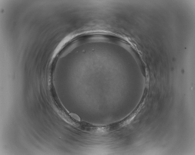 X0000066540056200603171251