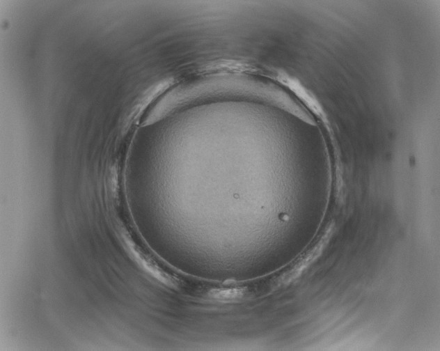 X0000066540057200603171251