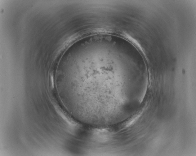 X0000066540061200603171251