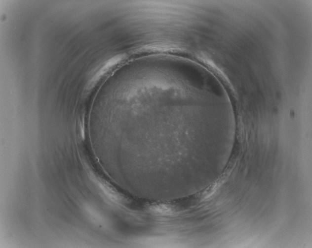 X0000066540062200603171251