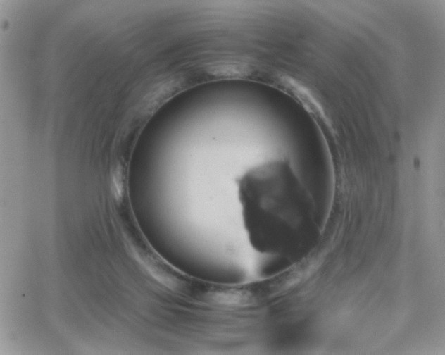 X0000066540069200603171251