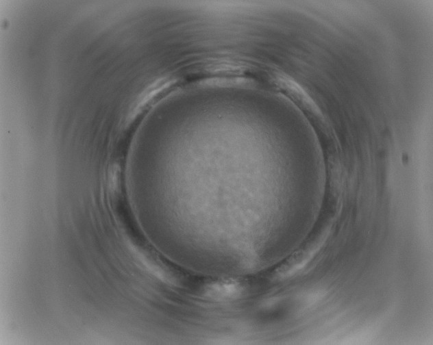 X0000066540071200603171251