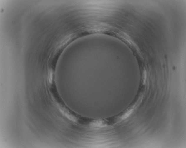 X0000066540076200603171251