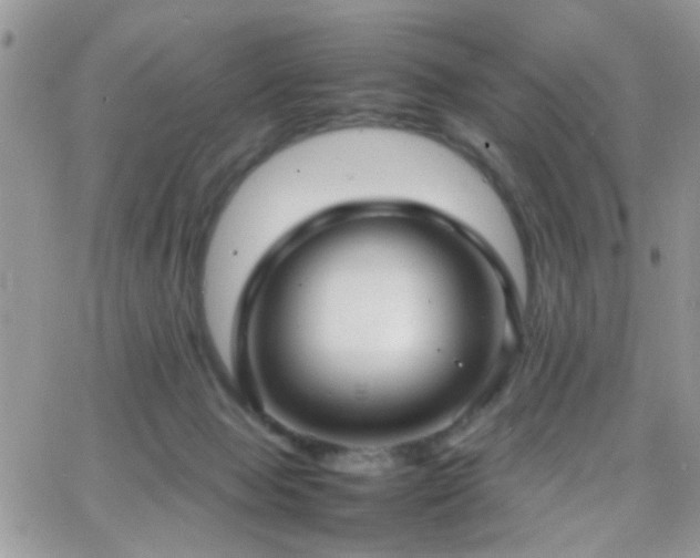 X0000066540077200603171251