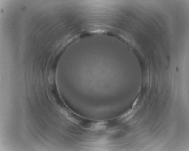 X0000066540078200603171251