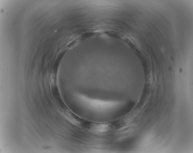 X0000066540081200603171251