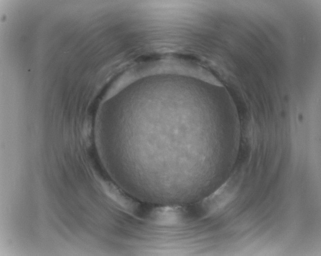 X0000066540082200603171251