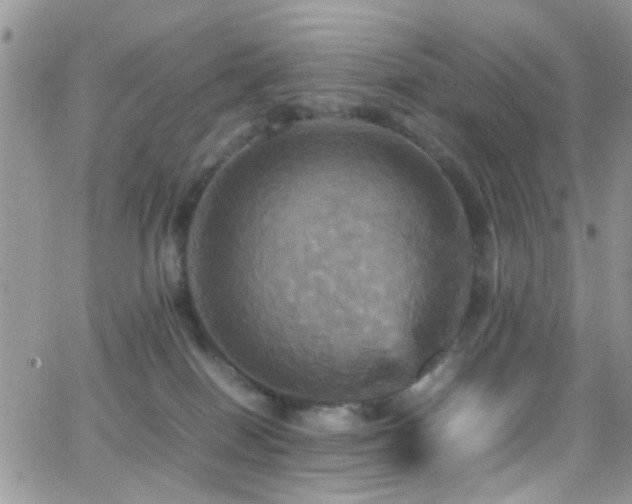 X0000066540086200603171251