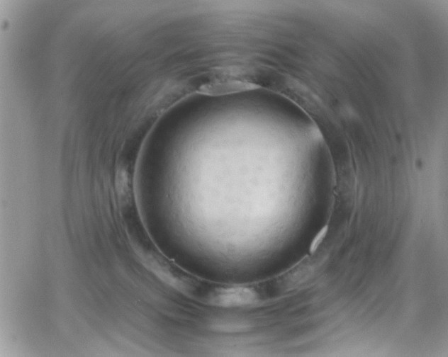 X0000066540087200603171251