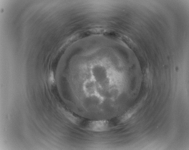 X0000066540089200603171251