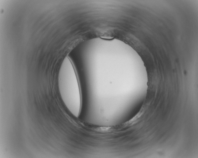 X0000066540090200603171251