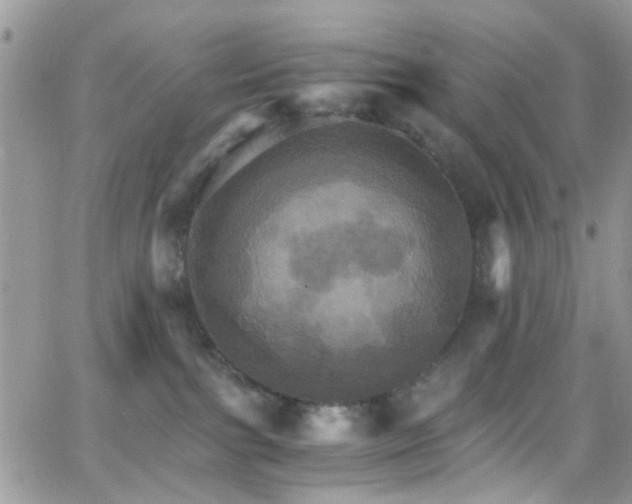 X0000066540091200603171251