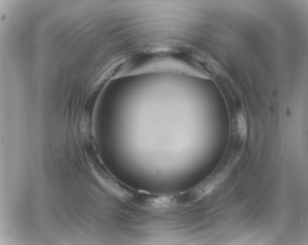 X0000066540092200603171251