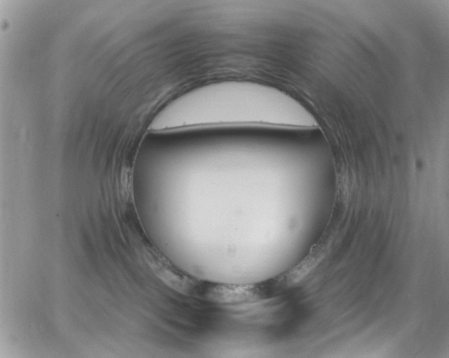 X0000066540093200603171251