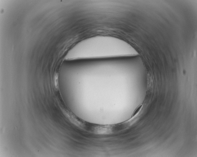 X0000066540094200603171251