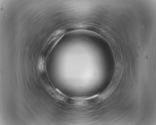 X0000066540096200603171251