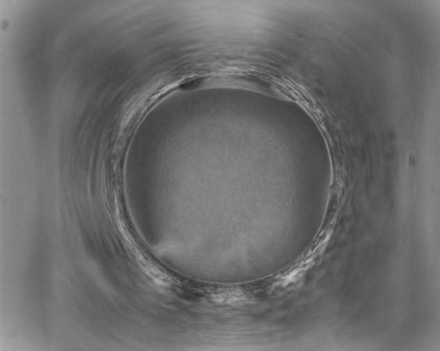 X0000066540097200603171251