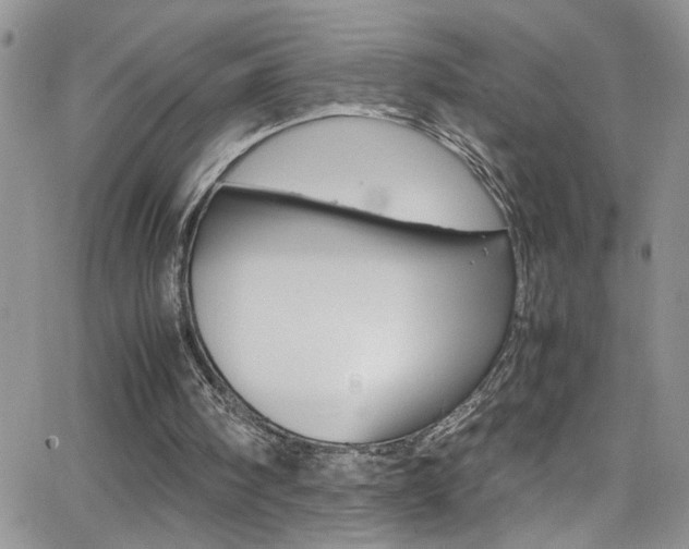 X0000066540098200603171251