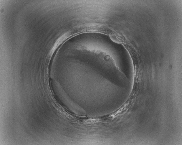 X0000066540099200603171251