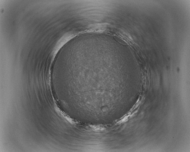 X0000066540100200603171251