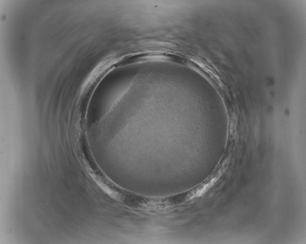 X0000066540101200603171251