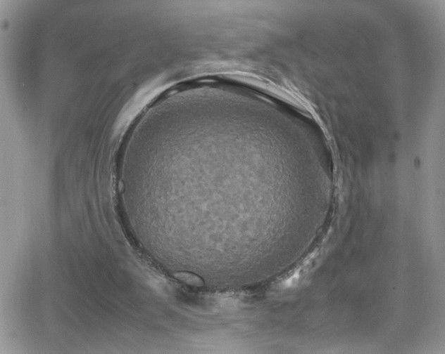 X0000066540103200603171251