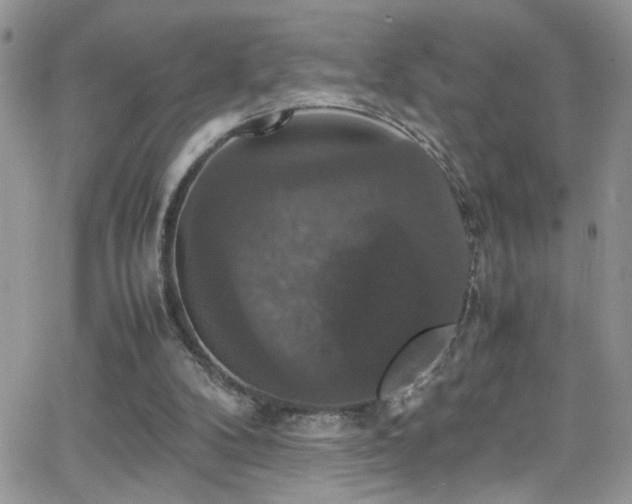 X0000066540104200603171251