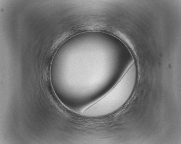 X0000066540105200603171250