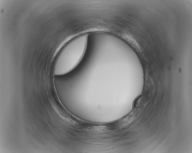 X0000066540108200603171250