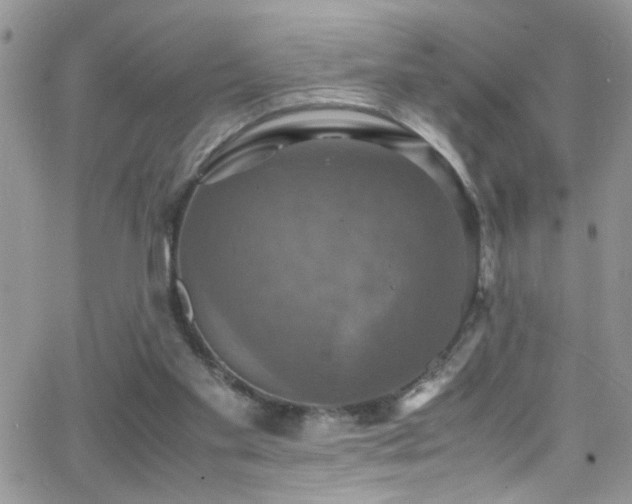 X0000066540109200603171250