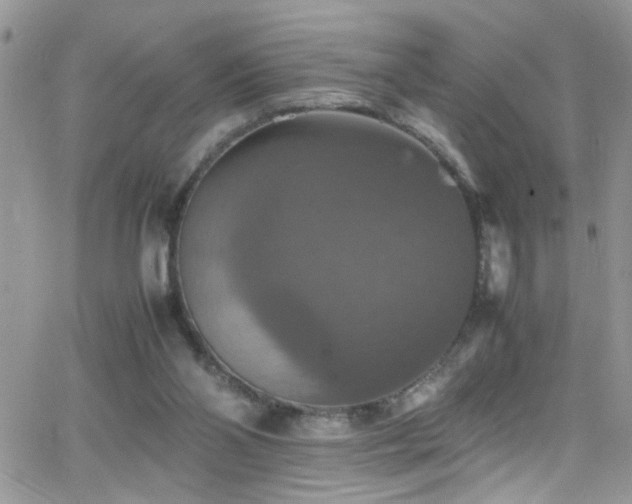 X0000066540110200603171250