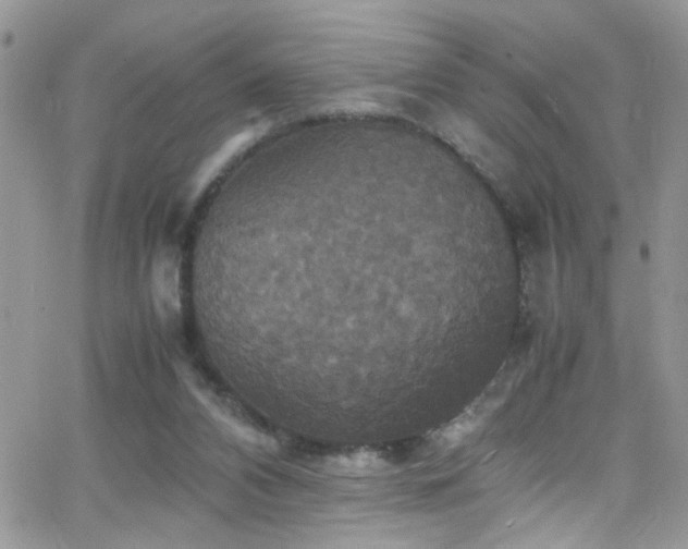 X0000066540112200603171250