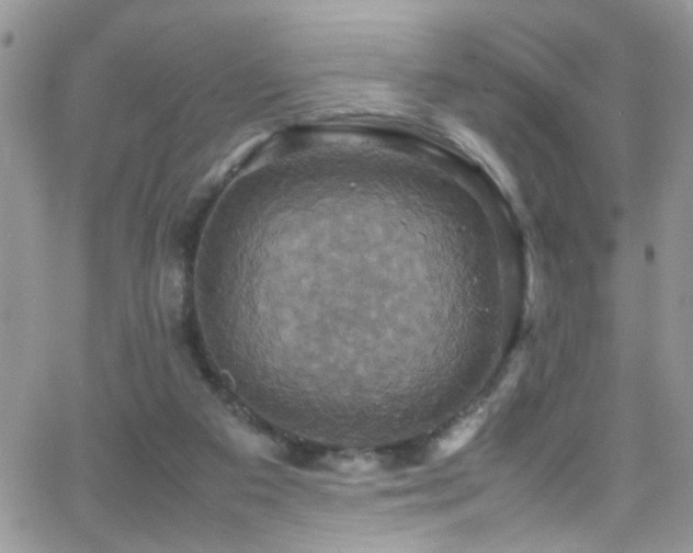 X0000066540113200603171250