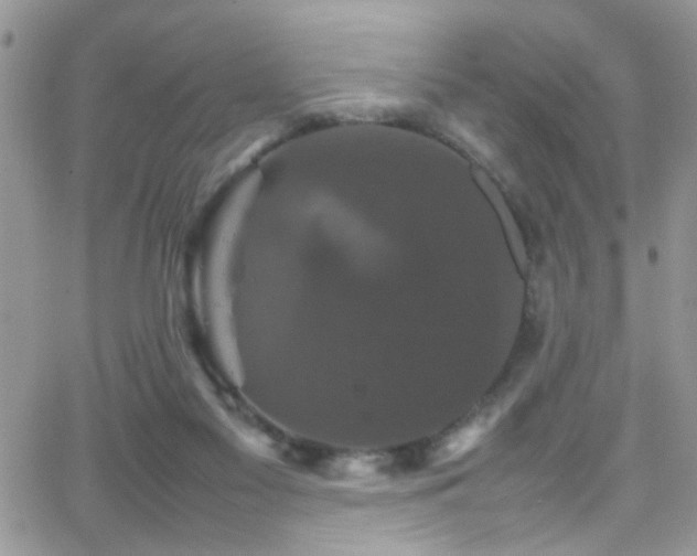 X0000066540117200603171250