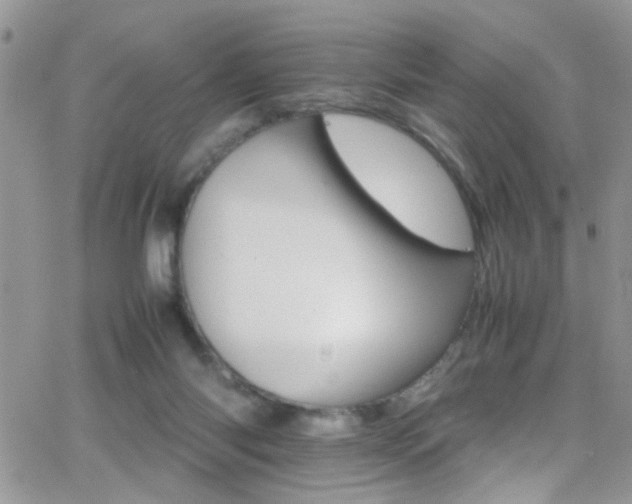 X0000066540118200603171250