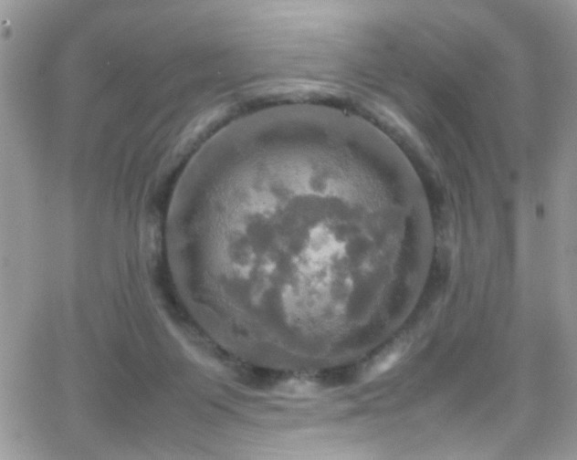 X0000066540119200603171250