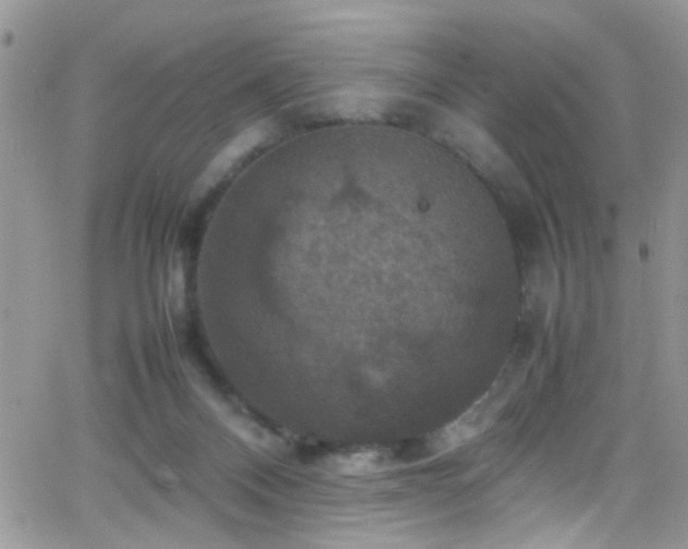 X0000066540120200603171250