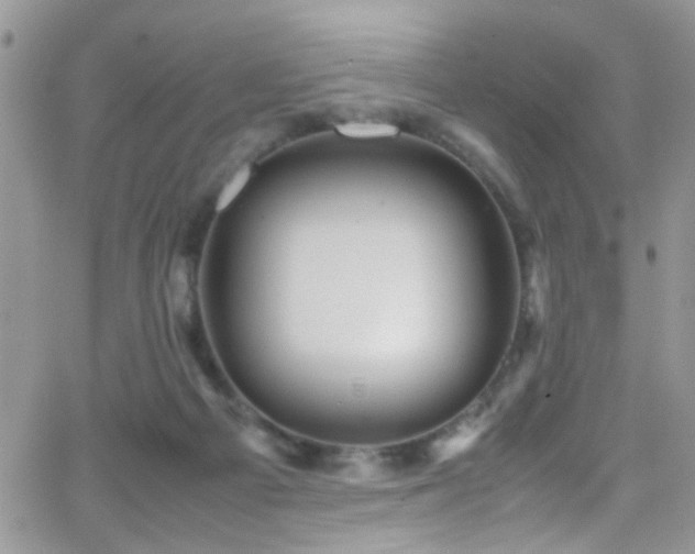 X0000066540121200603171250