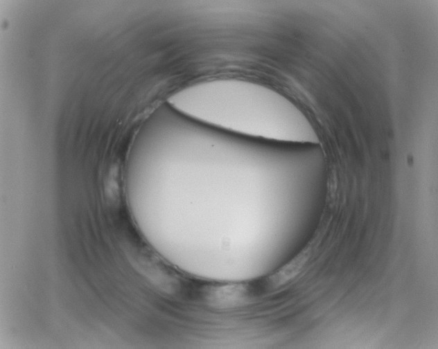 X0000066540122200603171250