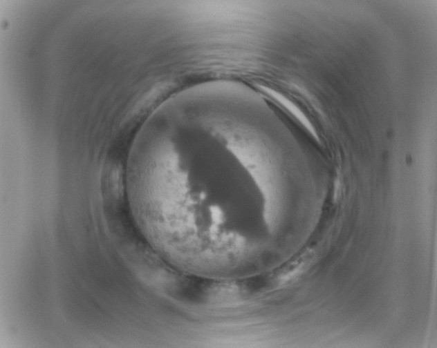 X0000066540123200603171250