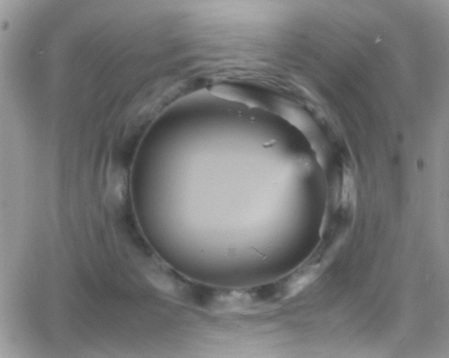 X0000066540125200603171250