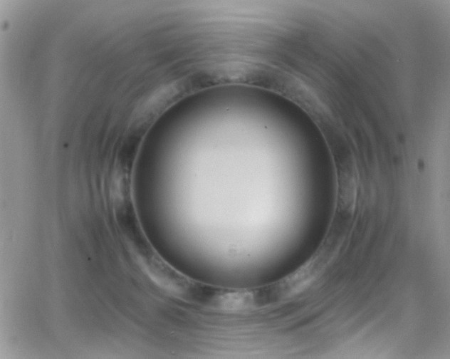 X0000066540126200603171250