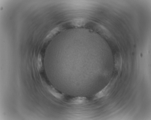 X0000066540128200603171250