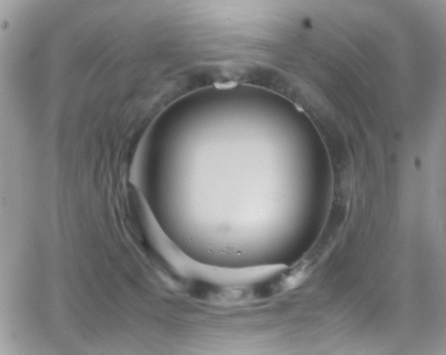 X0000066540129200603171250