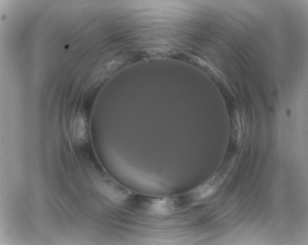 X0000066540130200603171250