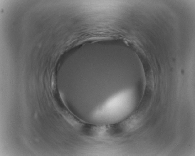 X0000066540131200603171250